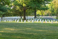 _MG_9870_DxO